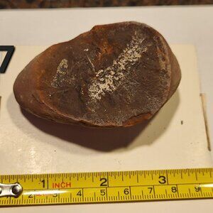 Old Indiana Fern Fossil